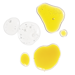 The Antioxidant Collection
